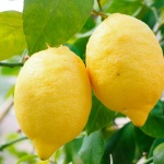 Consumir limones