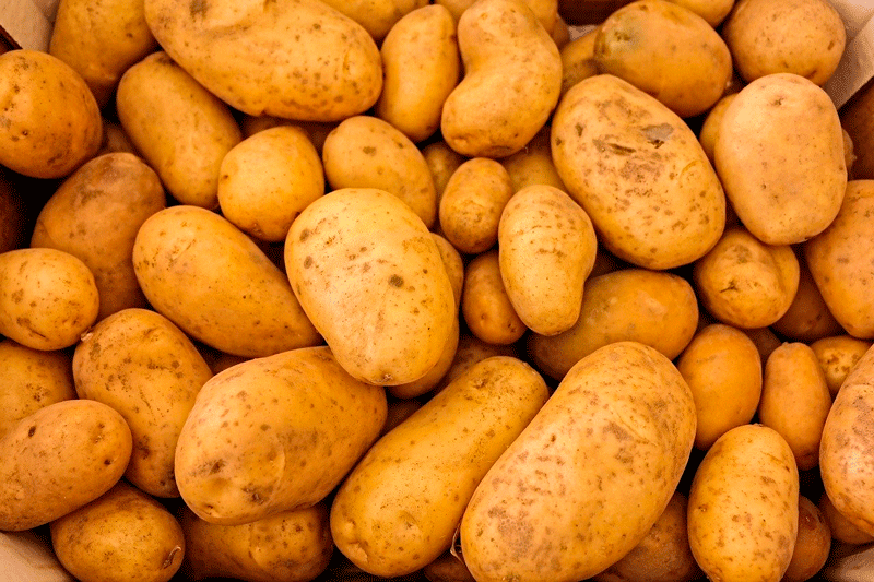 mejores patatas para hostelería