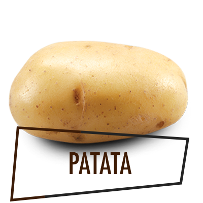 distribución y venta de patatas en Madrid