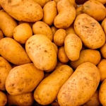 tipos de patatas